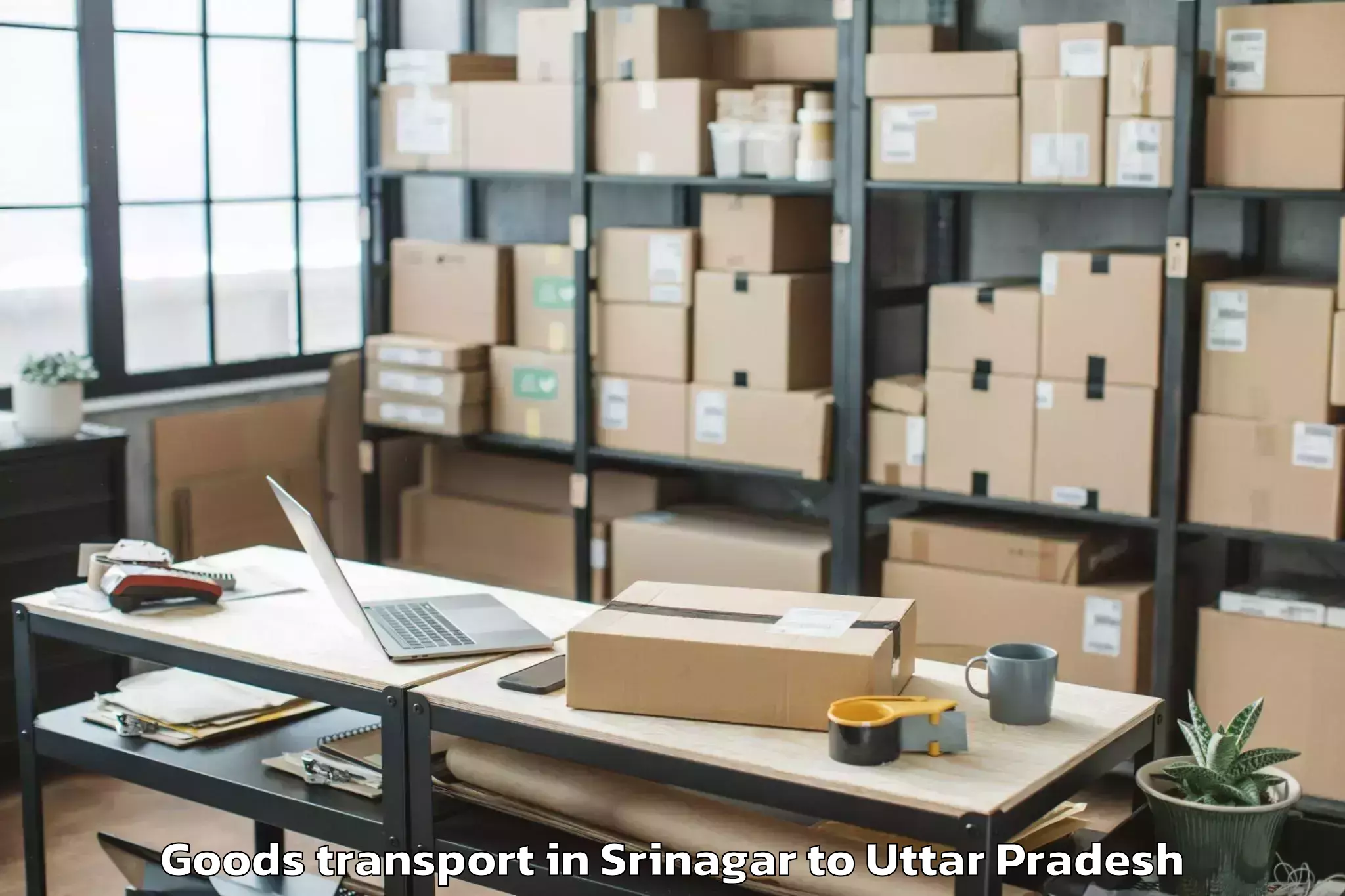 Book Srinagar to Lulu Mall Lucknow Goods Transport Online